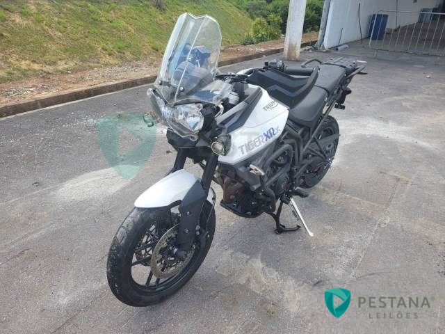 LOTE 27 TRIUMPH TIGER 2015/2015 GASOLINA 